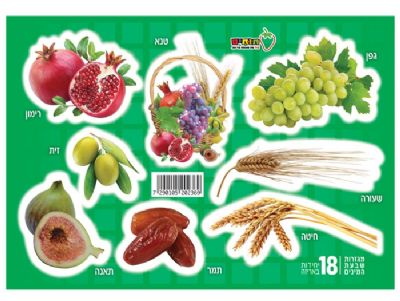 שבועות מגזרוות שבעת המינים 18 יח'