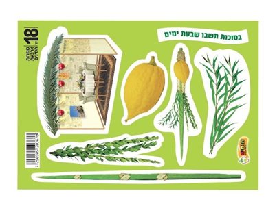 מגזרות סוכות 18 יח'