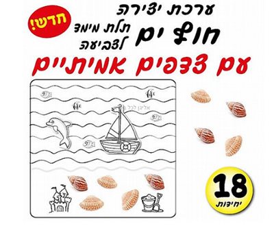 ערכת יצירה חוף ים עם צדפים אמיתים