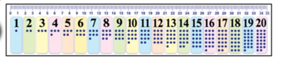 סרגל מספרים ממפל 36 יח'