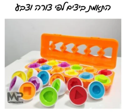 12 ביצים להתאמה ע''פ צורה וצבע