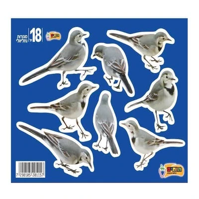 מגזרות נחליאלי