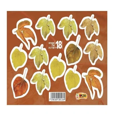 מגזרות עלי שלכת-18 יח'