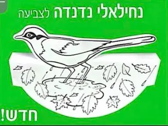 נחילאלי נדנדה לצביעה-36 יח'