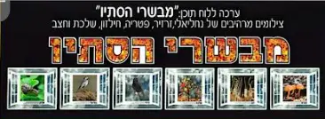 ערכת תמונות מבשרי הסתיו