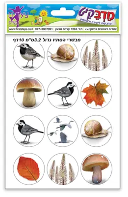 מדבקות סמלי סתיו גדול 10 דפים